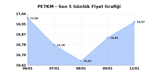PETKİM PETROKİMYA (PETKM) 13 Ocak Salı 2026 G&uuml;nl&uuml;k Teknik Analiz 1