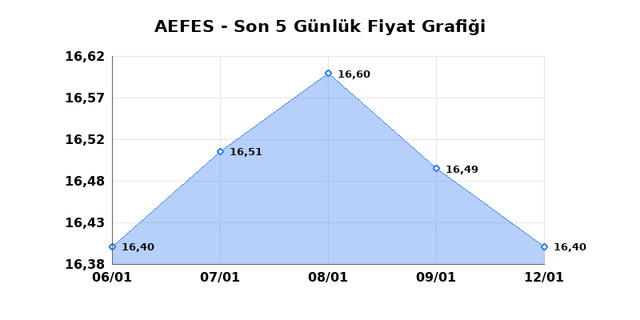ANADOLU EFES (AEFES) 13 Ocak Salı 2026 G&uuml;nl&uuml;k Teknik Analiz 1