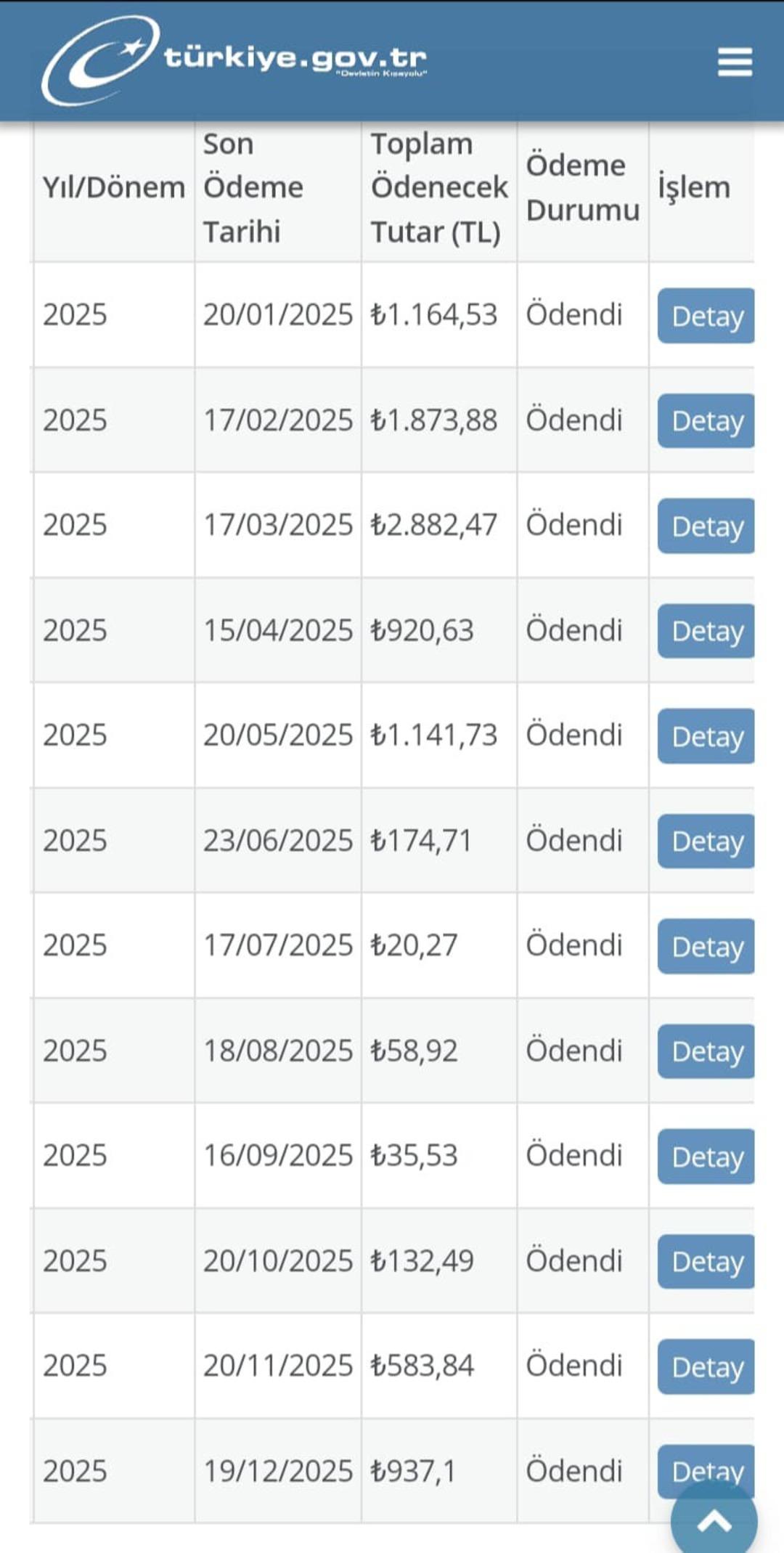 Ortalama 2 bin TL ödüyordu! 150 metrekarelik evine son gelen doğal gaz faturasına inanamadı 4