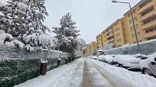 Gümüşhane’de kar 247 köy yolunu ulaşıma kapattı