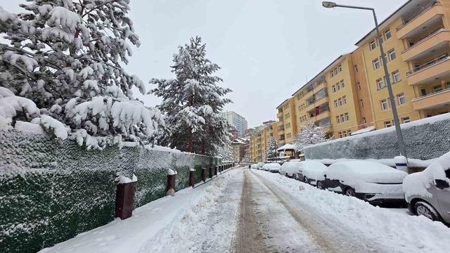 Gümüşhane’de kar 247 köy yolunu ulaşıma kapattı