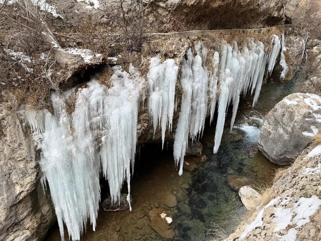 Binlerce yıllık ge&ccedil;mişi var! Boyu 5 metreyi ge&ccedil;ti, g&ouml;renler inanamıyor 2