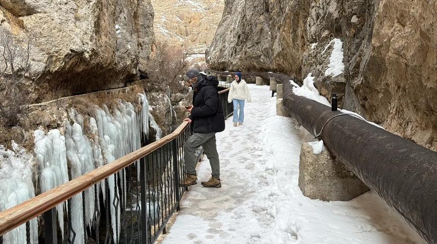 Binlerce yıllık ge&ccedil;mişi var! Boyu 5 metreyi ge&ccedil;ti, g&ouml;renler inanamıyor