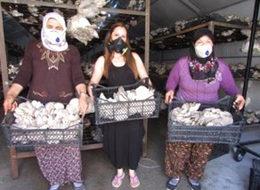 Kadın girişimci istiridye mantar üretim tesisi kurdu