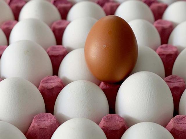 Yumurtacı tavuklar i&ccedil;in kafes standardı değişti