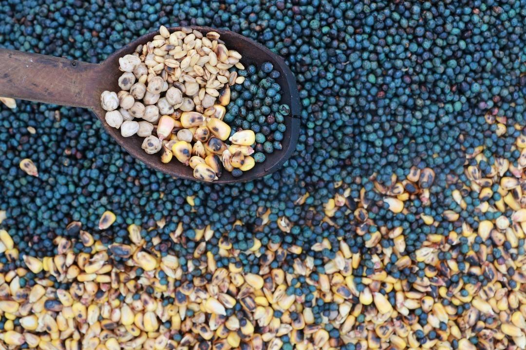 Evliya &Ccedil;elebi nin bile bahsettiği asırlık lezzet: Kavut unu 2