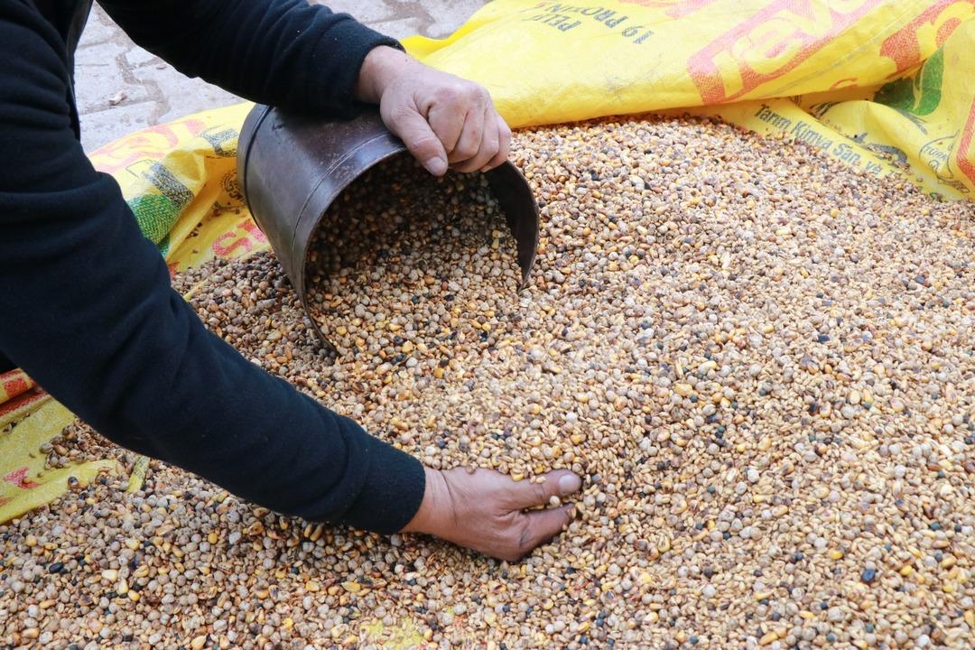 Evliya &Ccedil;elebi nin bile bahsettiği asırlık lezzet: Kavut unu 7