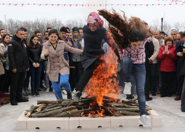 Nevruz kutlamasında demir unutulunca 'yüksek gerilim' levhası dövüldü