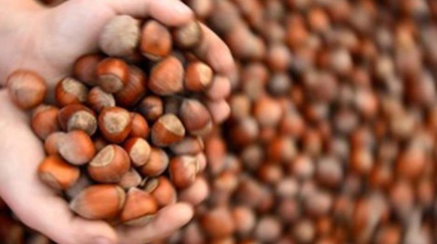 Cumhuriyet tarihinin rekorunu kırdı