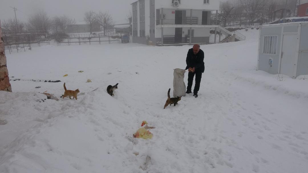 Bu k&ouml;yde kış aylarında sadece bir aile yaşıyor!  1