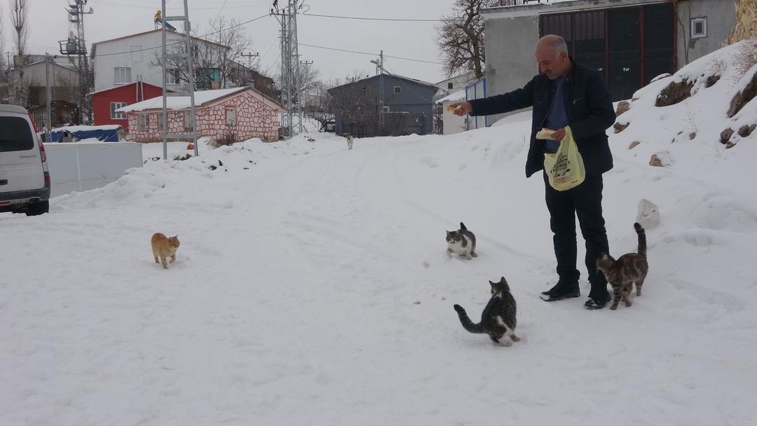 Bu k&ouml;yde kış aylarında sadece bir aile yaşıyor!  5