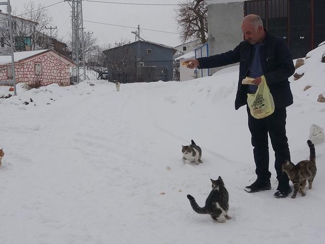 Bu k&ouml;yde kış aylarında sadece bir aile yaşıyor! 