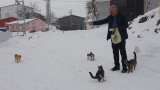 Bu köyde kış aylarında sadece bir aile yaşıyor! 