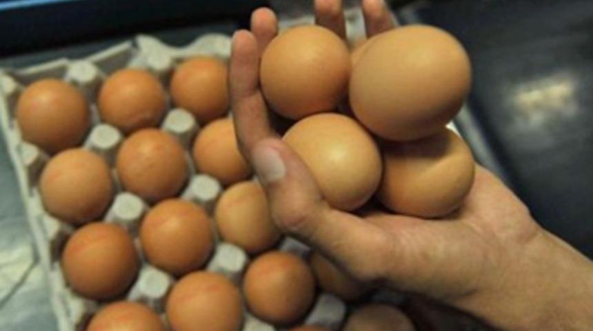 Kovid-19 nedeniyle sınırda bekleyen 150 tır yumurta için çözüm arayışı