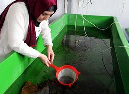 Türkiye'de yapılmayanı yaptı! 100 bin lirayı kaptı