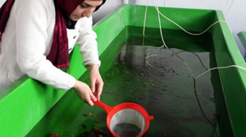 Türkiye'de yapılmayanı yaptı! 100 bin lirayı kaptı