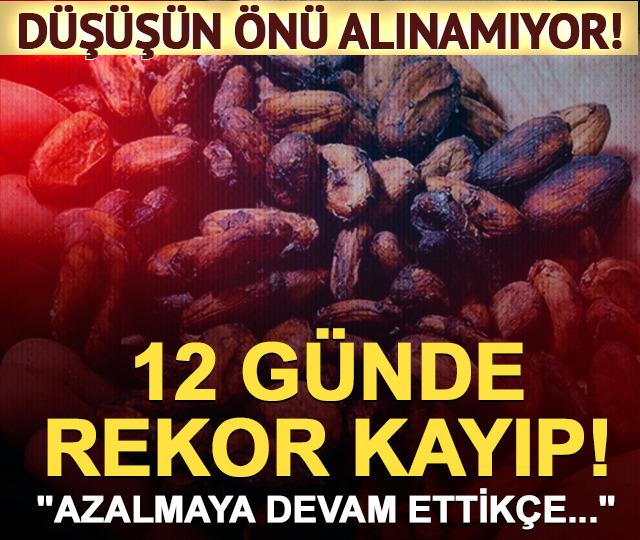 Fiyatlardaki düşüş durdurulamıyor! Tonu 5 bin 400 dolara kadar geriledi