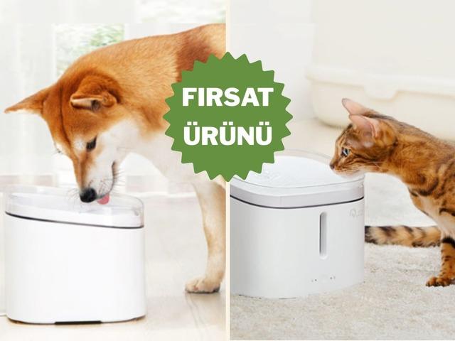 Patili dostlarımız i&ccedil;in en akıllı &ccedil;&ouml;z&uuml;m!