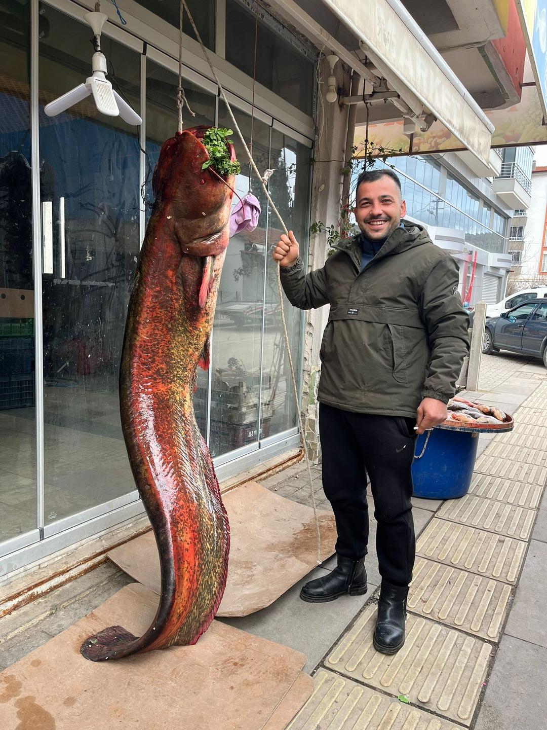 Nadir rastlanıyordu, o buldu! Dev gibi: Boyunu bile aştı 2