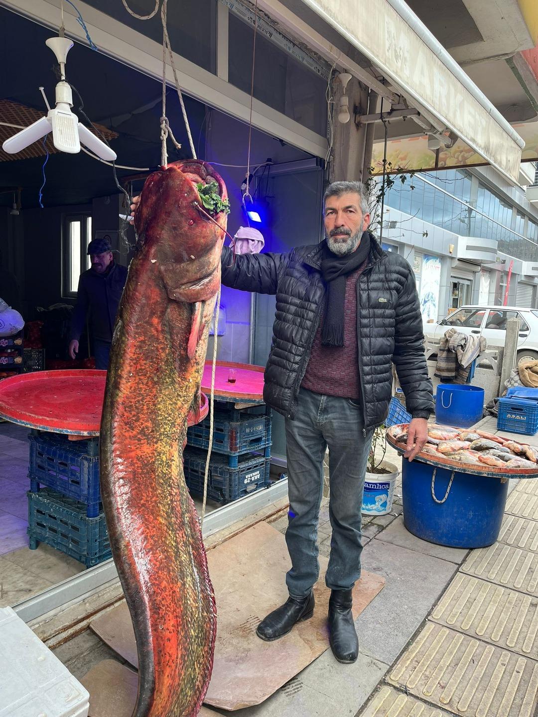 Nadir rastlanıyordu, o buldu! Dev gibi: Boyunu bile aştı 1