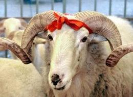 Bayram tatili ne zaman açıklanacak?