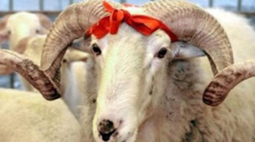 Kurban Bayramı tatili uzatılıyor mu?