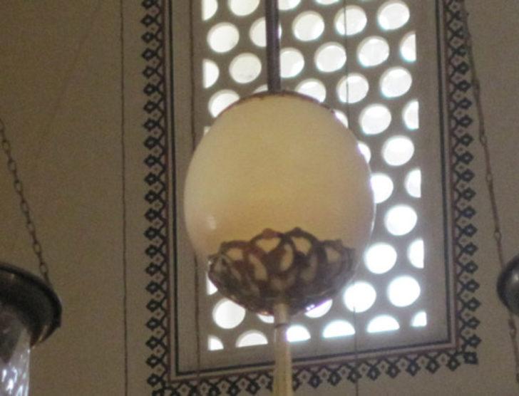 Deve kuşu yumurtası yok satıyor! İşte nedeni G5