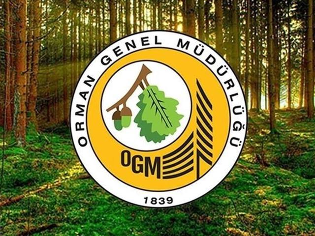 OGM'den orman kadastrosu ve 2B uygulaması ile ilgili değişiklik