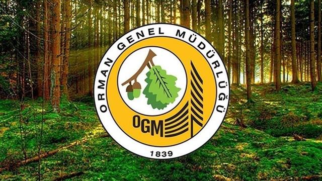 OGM'den orman kadastrosu ve 2B uygulaması ile ilgili değişiklik