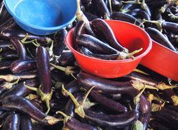 İstanbul'un zam şampiyonu oldu