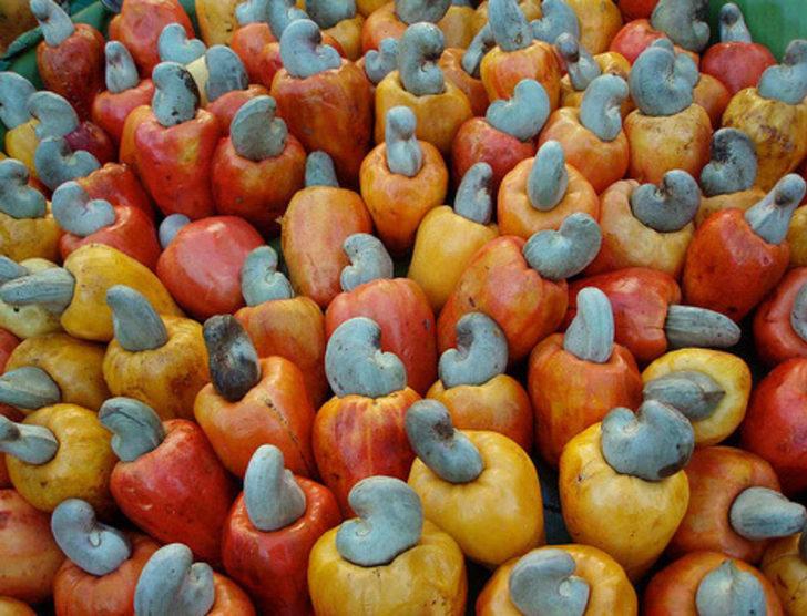 Bir tane bile yiyen hemen atılıyor G3