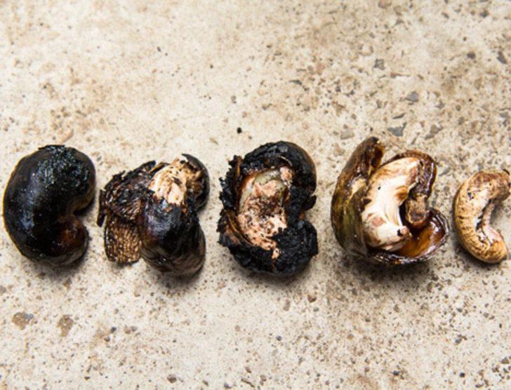 Bir tane bile yiyen hemen atılıyor G5