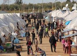 OECD göçmen meselesine katkı vermeye hazır