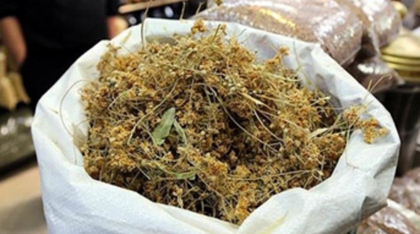 Fiyatı çeyrek altını solladı