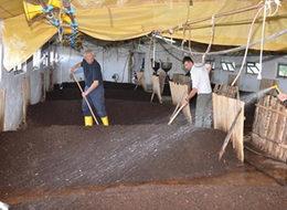 300 metrekarede para basıyor!