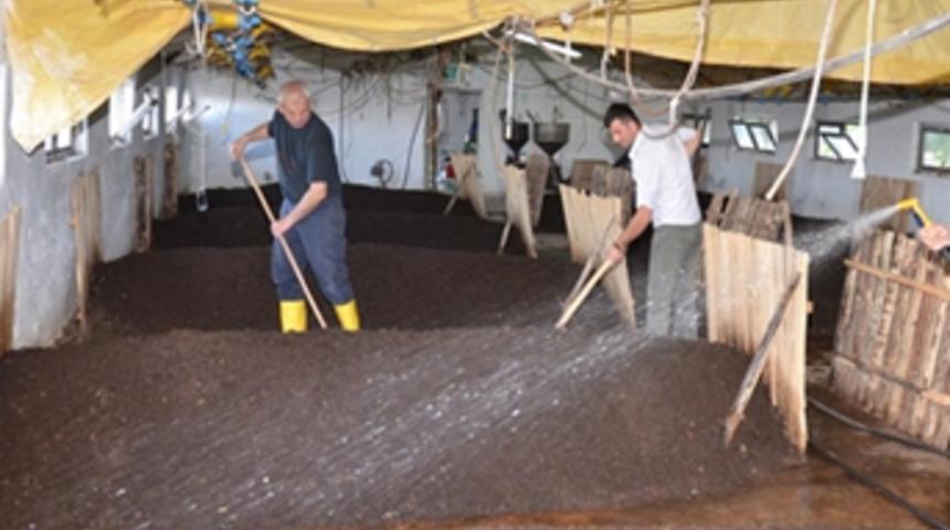 300 metrekarede para basıyor!