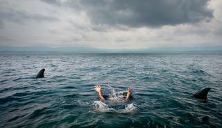 &Ccedil;ocuklarının g&ouml;z&uuml; &ouml;n&uuml;nde k&ouml;pek balığı saldırısına uğradı!