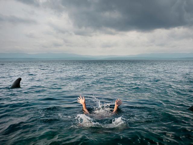 &Ccedil;ocuklarının g&ouml;z&uuml; &ouml;n&uuml;nde k&ouml;pek balığı saldırısına uğradı!