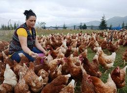 İşsiz kalınca bu işi kurdu! Şimdi ayda 3 bin TL kazanıyor