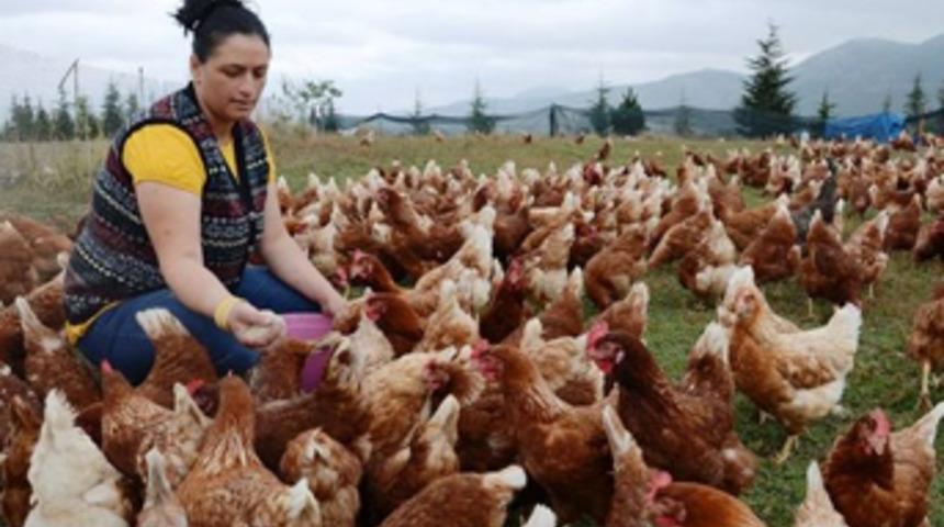 İşsiz kalınca bu işi kurdu! Şimdi ayda 3 bin TL kazanıyor