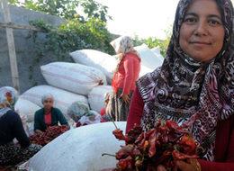 700 liralık mikrokredi yaşamını değiştirdi