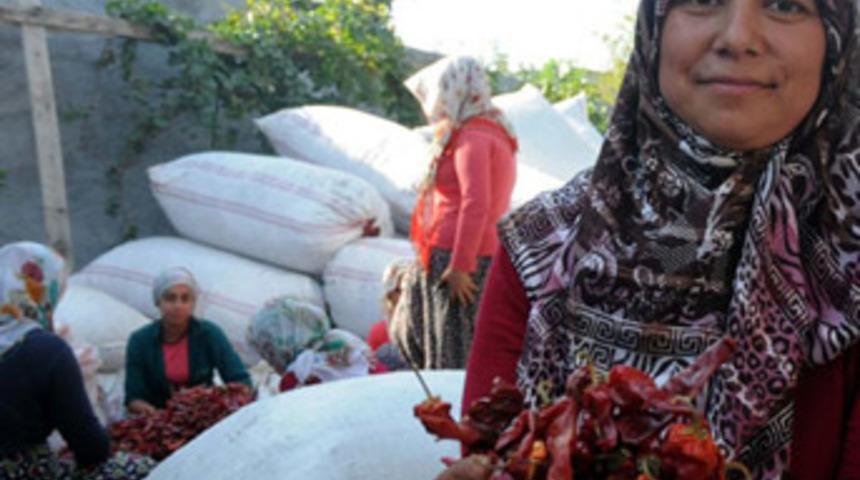 700 liralık mikrokredi yaşamını değiştirdi