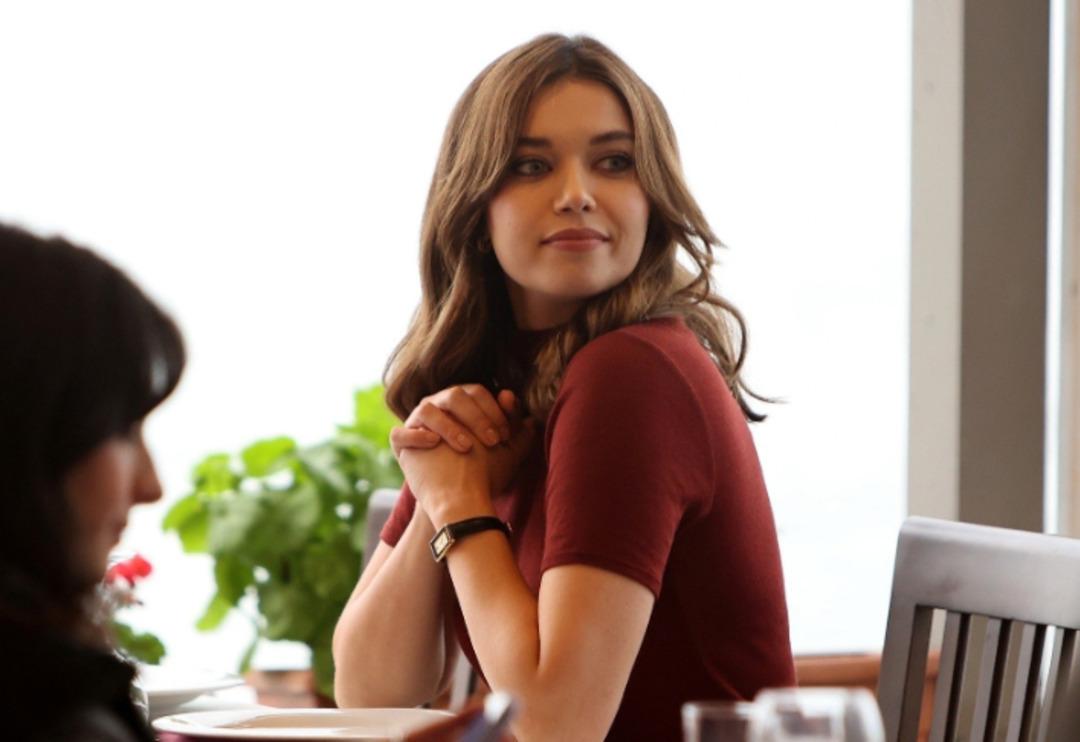 A.B.İ. ger&ccedil;ek hikaye &ccedil;ıktı! G&uuml;lseren Budayıcıoğlu detayı 2