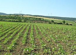 Tekirdağ'da arsa fiyatları katlandı!