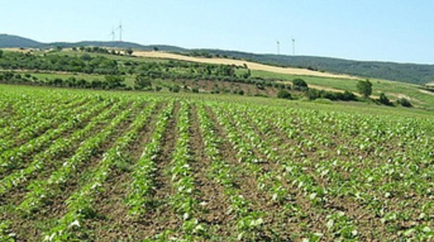 Tekirdağ'da arsa fiyatları katlandı!