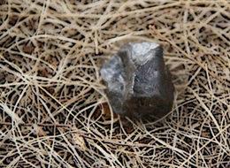 Göktaşı ellerinde kaldı