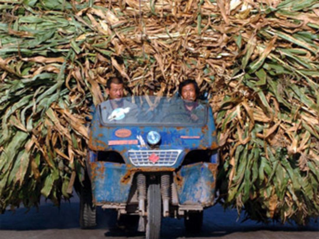 D&uuml;nyanın y&uuml;k&uuml;n&uuml; taşıyan insanlar