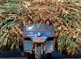 Dünyanın yükünü taşıyan insanlar