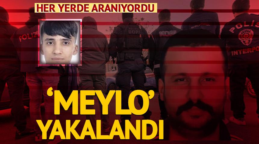 Her yerde aranan Barış Boyun &ccedil;etesi &ouml;rg&uuml;t y&ouml;neticisi 'Meylo' kıskıvrak yakalandı!
