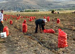 Geçen yıl 5 liraydı, bu yıl 1 lira!